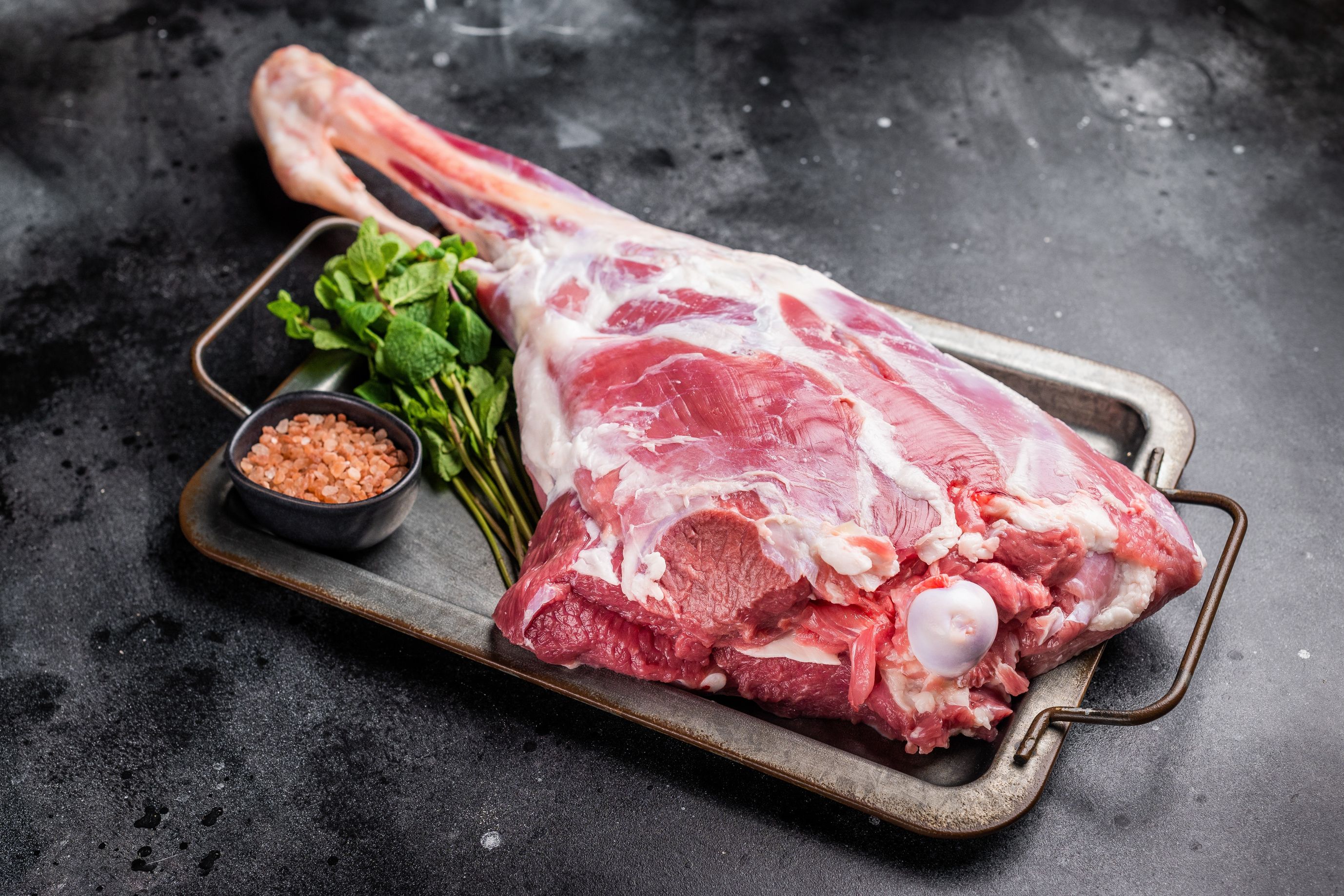 Lamb